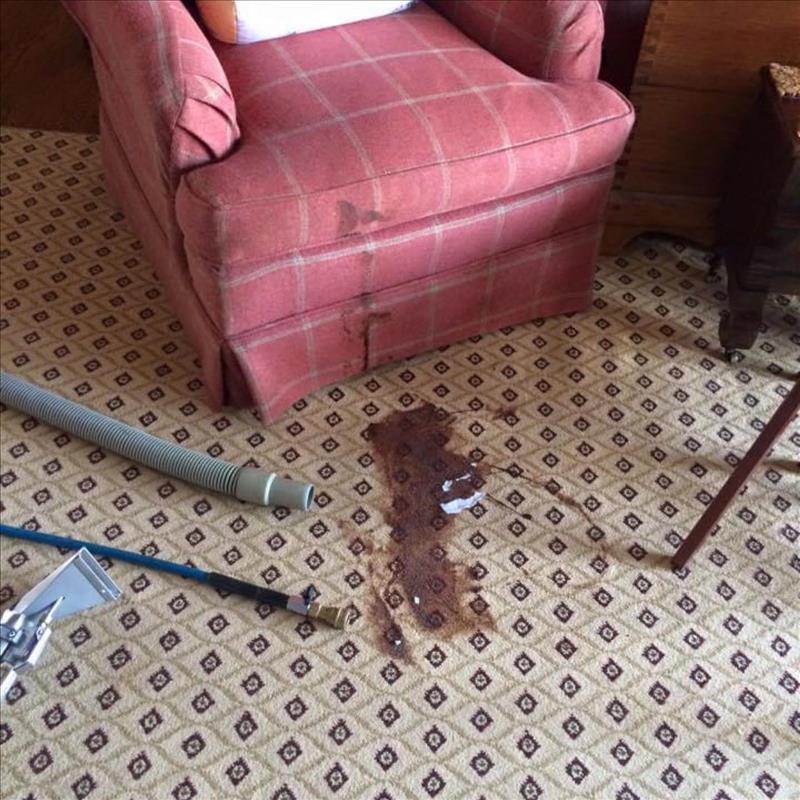 North Shore Dry Carpet Cleaning Highland Park, IL